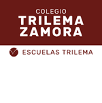 colegio_3937_trilemazamora_details.png